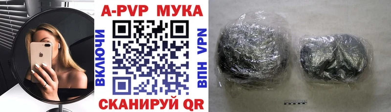дарк нет какой сайт  MEGA как зайти  Балахна  Alpha PVP СК КРИС 