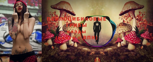 гидра Балабаново