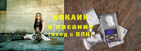 индика Армянск