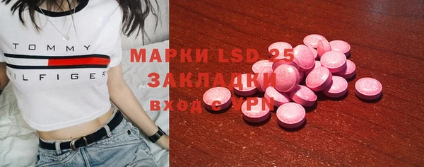 индика Армянск