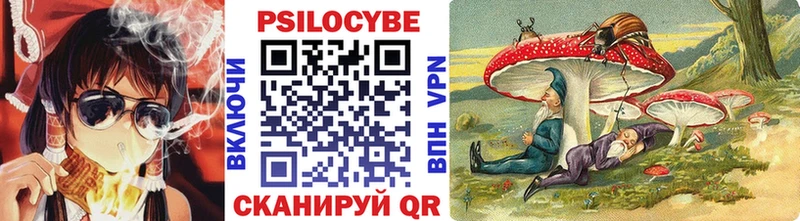 Галлюциногенные грибы Psilocybe  Балахна 