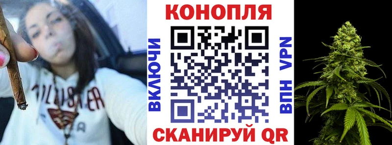 Каннабис планчик Балахна